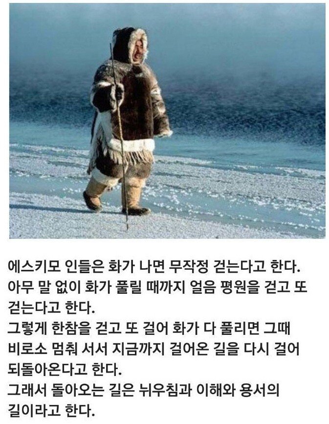 99b983892094b5c6d2fc3736e15da7d1.jpeg 에스키모인 들의 화푸는법