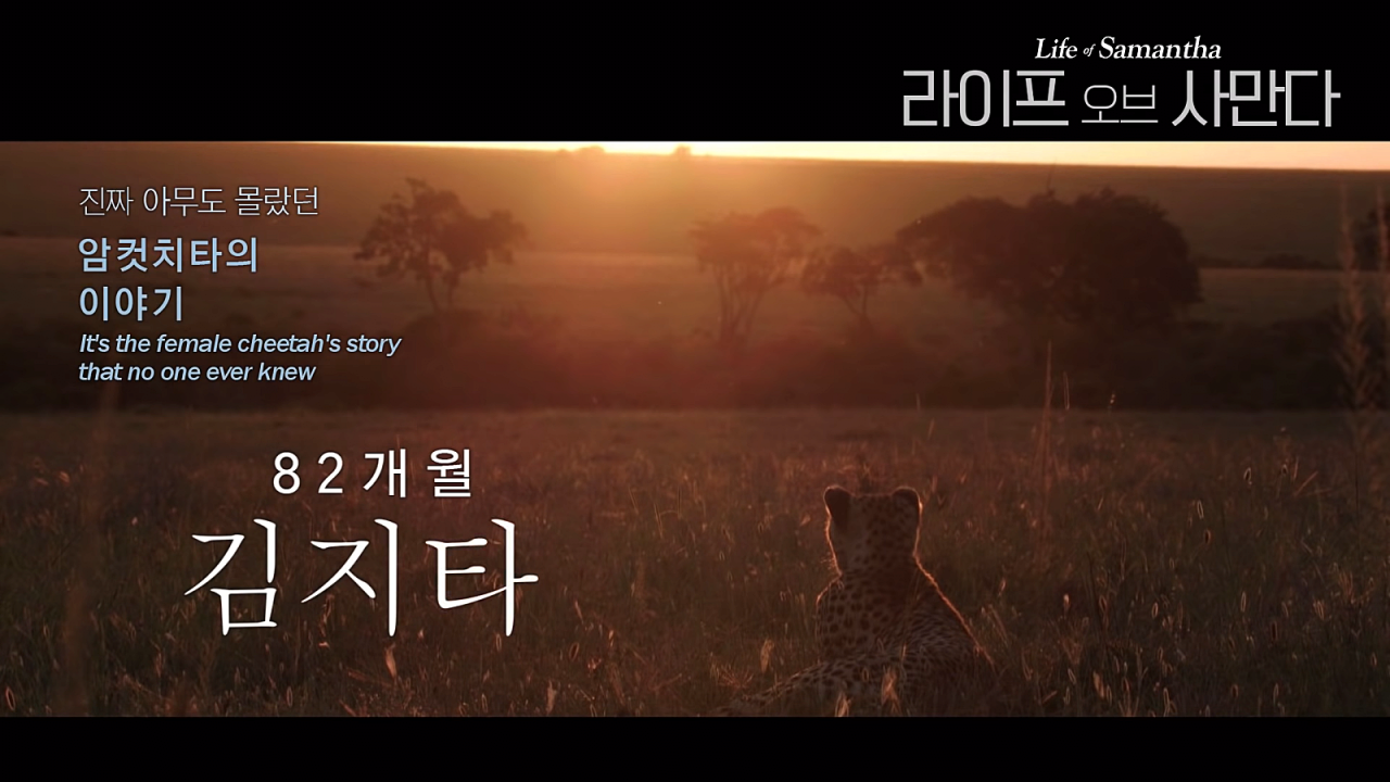 24post.co.kr_003.png