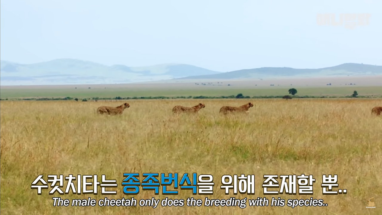 24post.co.kr_001.png