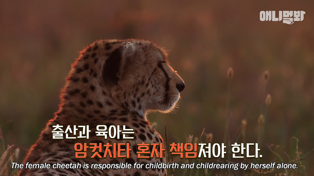 24post.co.kr_002.png