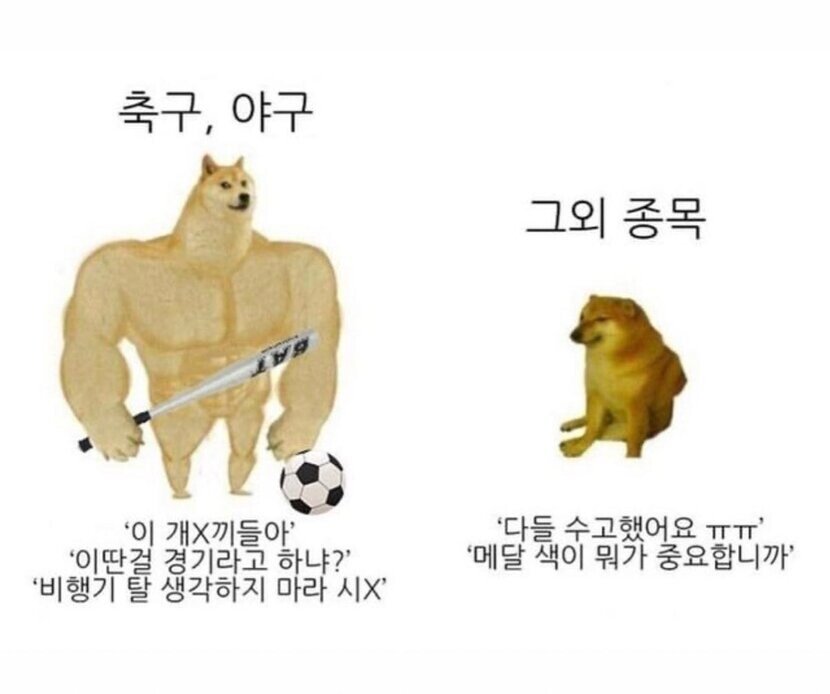 국가대표를 보는 한국인 특징