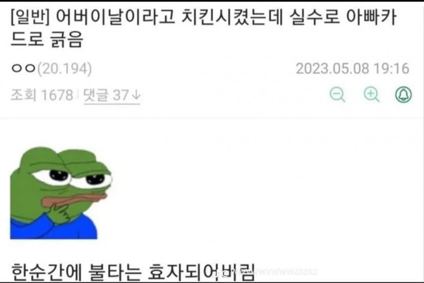 16933102228767.jpg