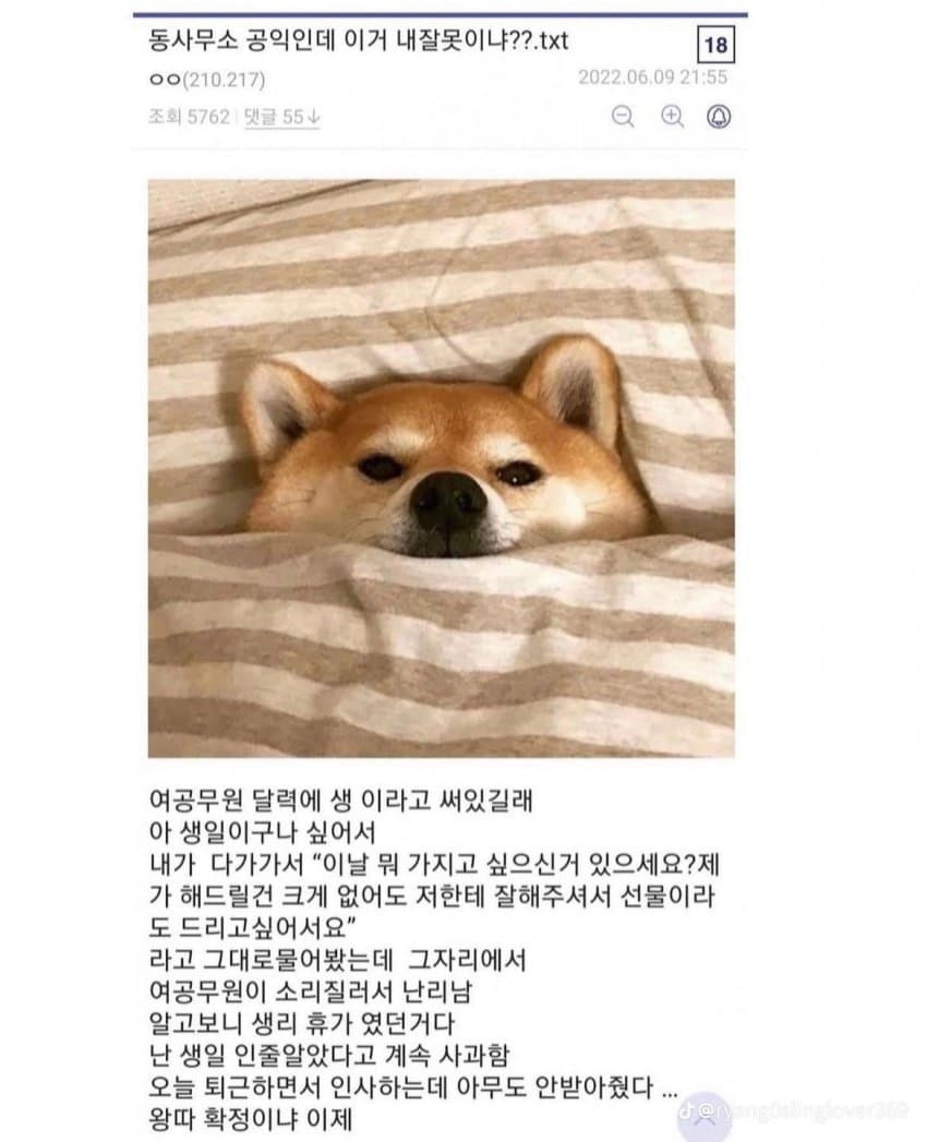 16933102090365.jpg