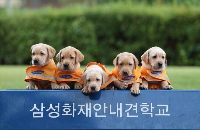 24post.co.kr_003.jpeg