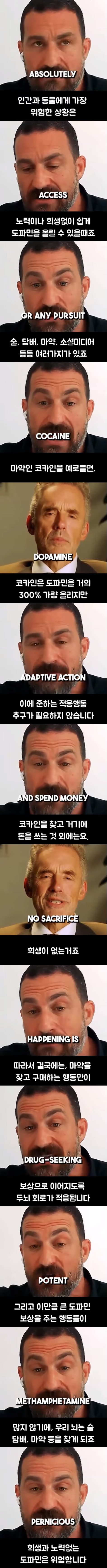 스탠퍼드 교수가 말하는 도파민 중독.jpg