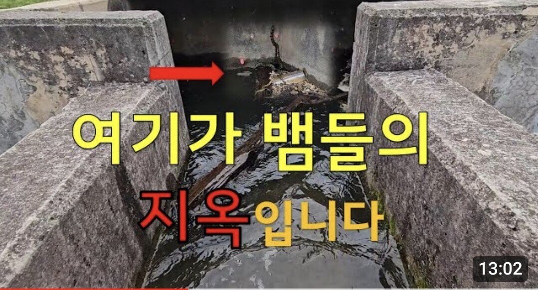 Screenshot_20230909_163259_YouTube.jpg
