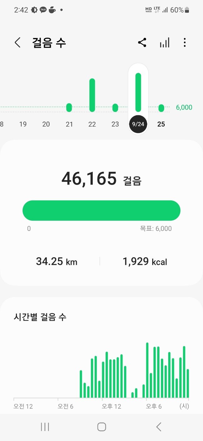 도보 배달 40건 성공 했어