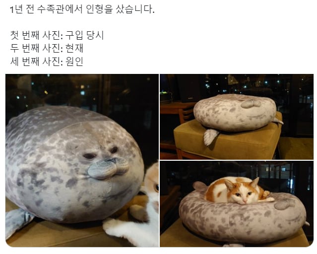 c70a8d4c61ab9ea5e8a551af8589ad77.jpeg