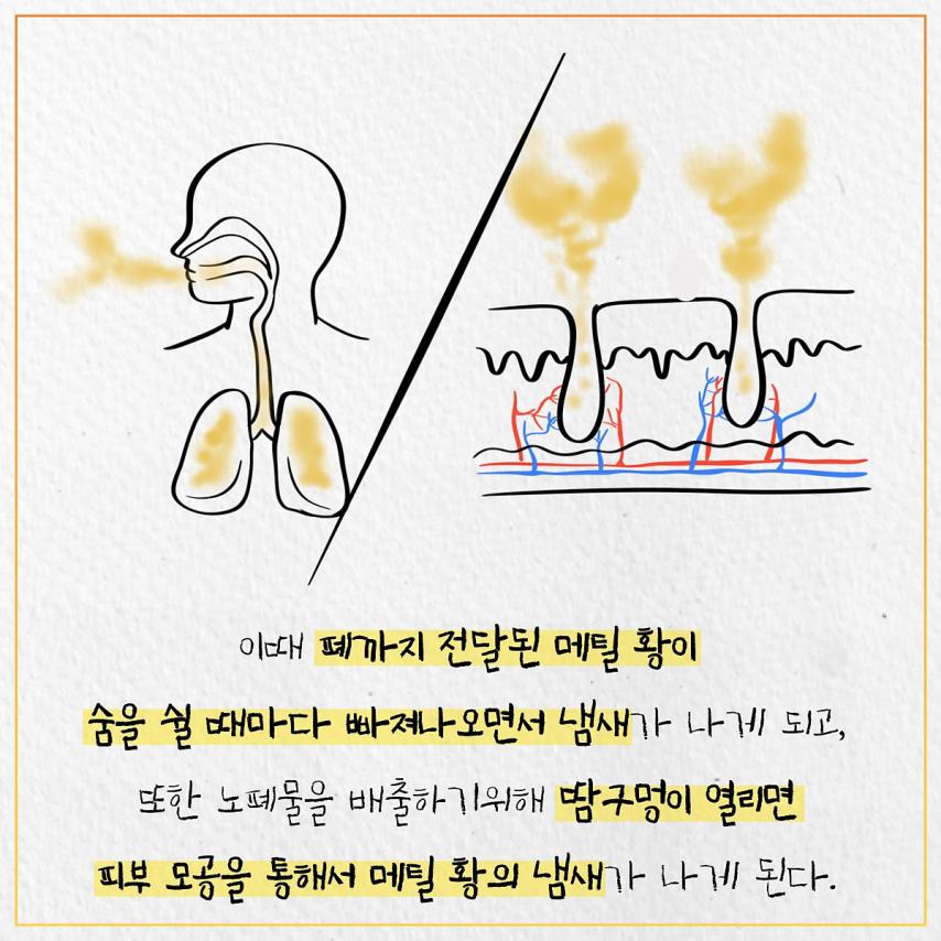 김짤.com_006.jpg