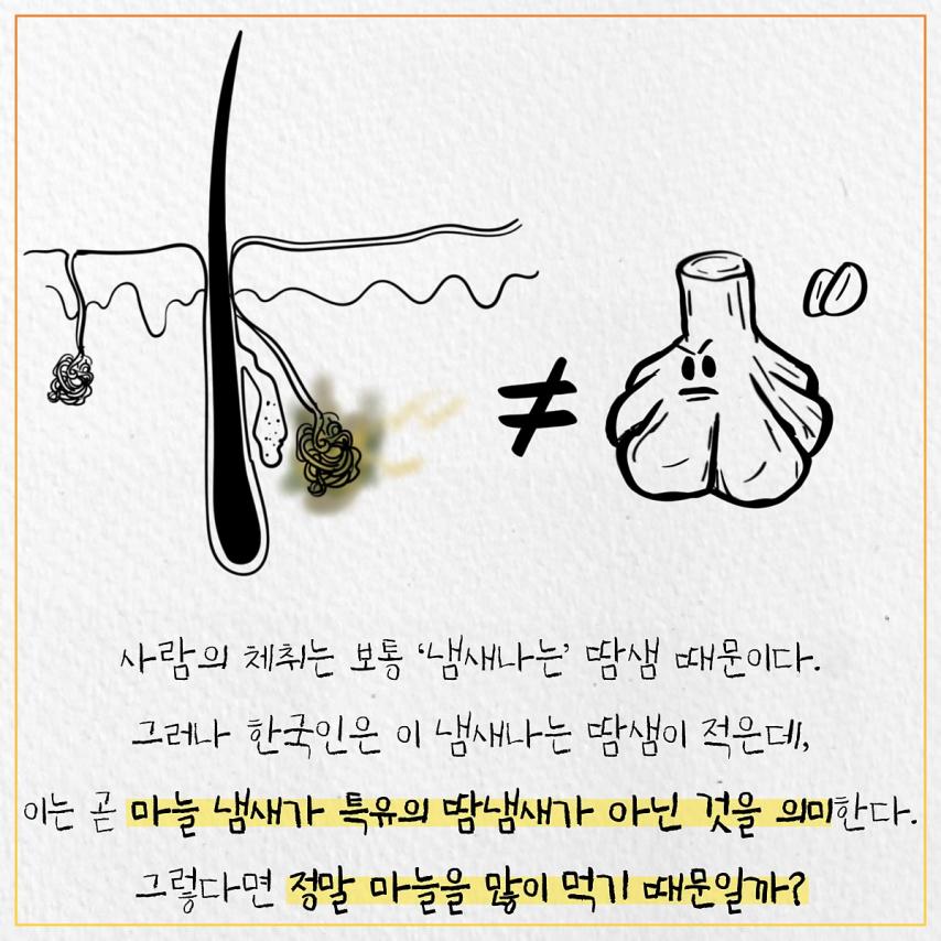 김짤.com_003.jpg