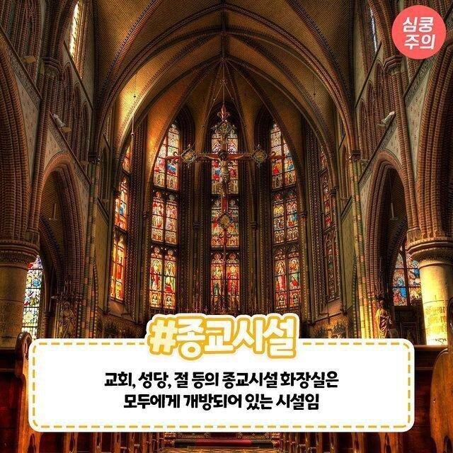 김짤.com_004.jpg