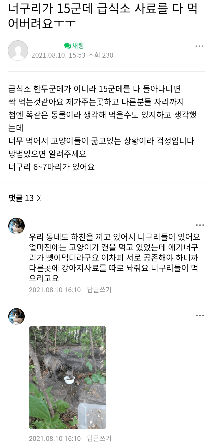 캣맘 몰카에 포착된 길고양이 급식소 훼손한 범인 - 꾸르
