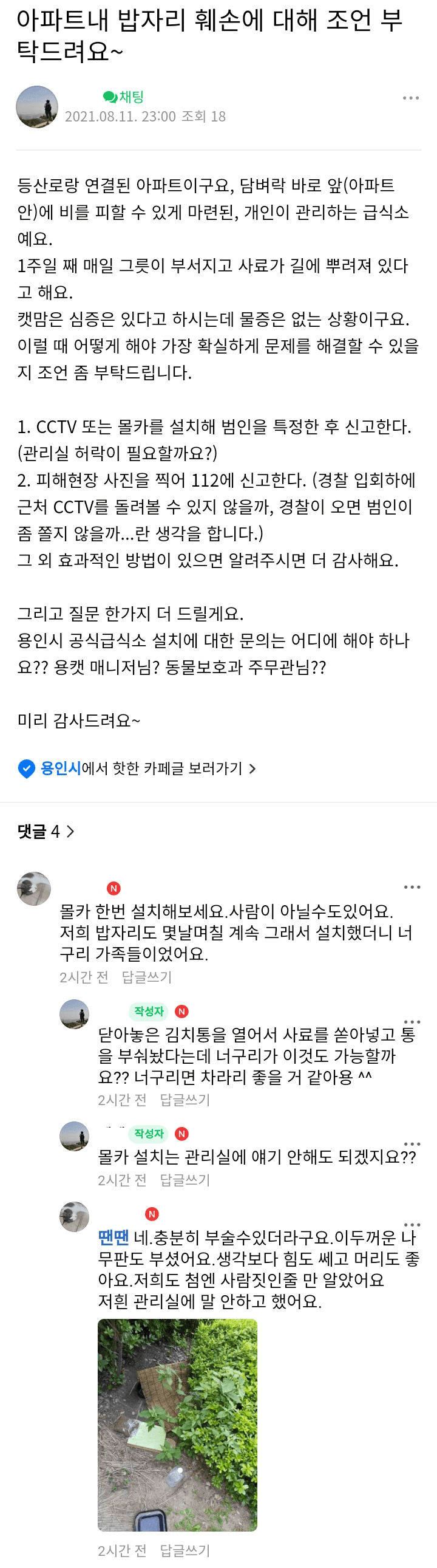 캣맘 몰카에 포착된 길고양이 급식소 훼손한 범인 - 꾸르