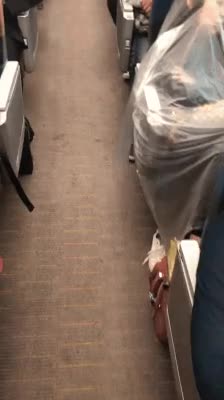 2728265129_kUxJi1TA_0effdf84384d22cfbb949f4bb79634fcf86d3f5b.gif