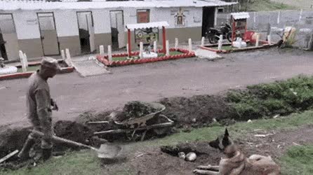 d8ea548a587e59db2b236e56622811fd90824ed7.gif