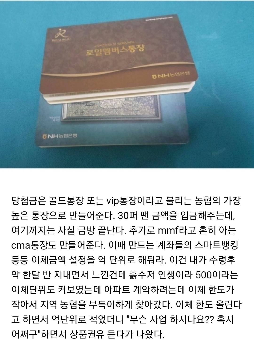 로또 1등 당첨 후기 | 인스티즈