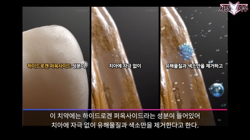 img/23/11/11/18bb9c374399f1ad.png 미백 치약 허위 광고 고발한 사망여우 근황.JPG
