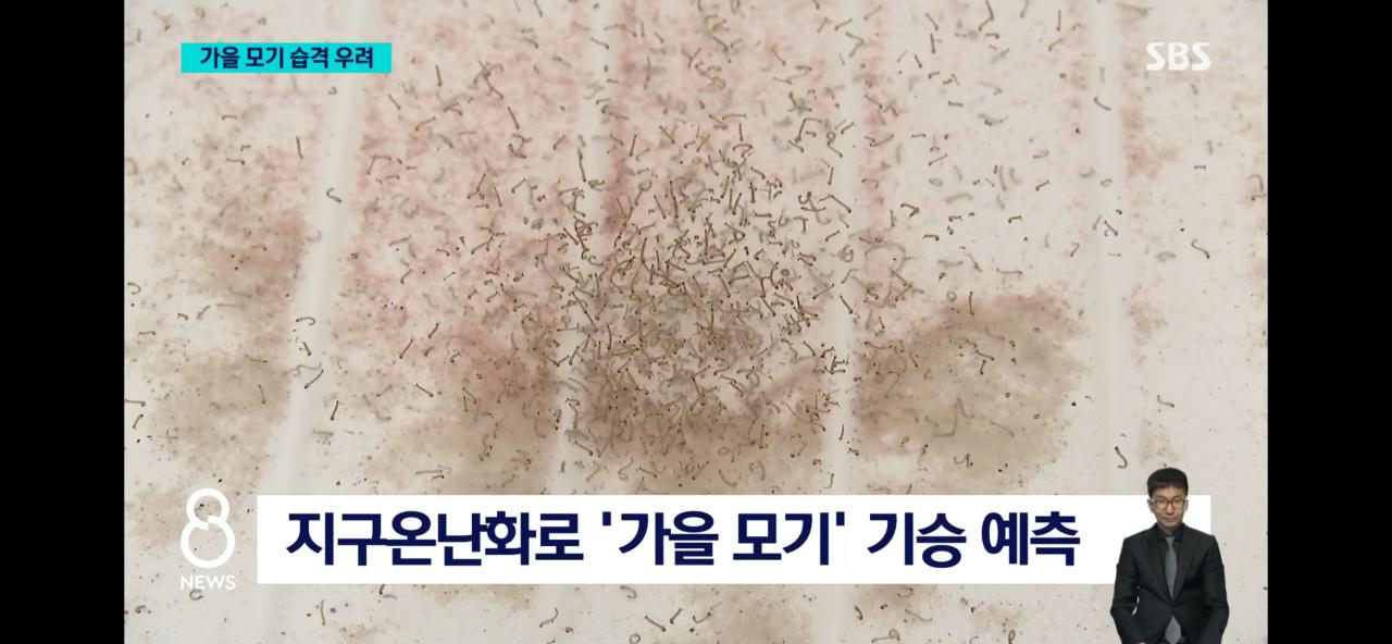 김짤닷컴_010.png.jpg