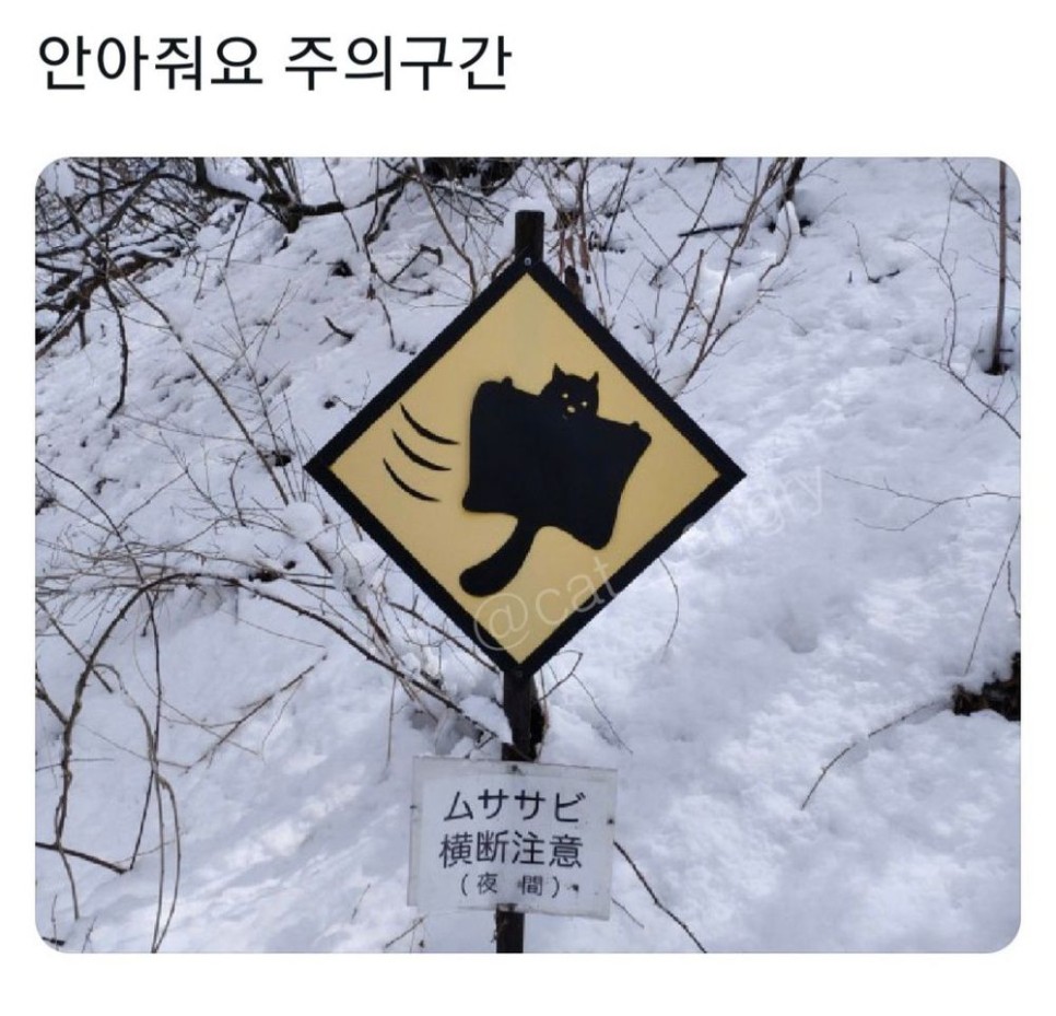 1.jpeg