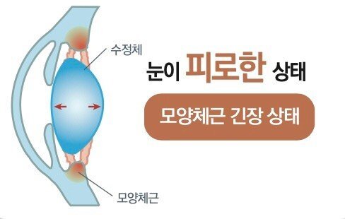 김짤.com_006.jpg