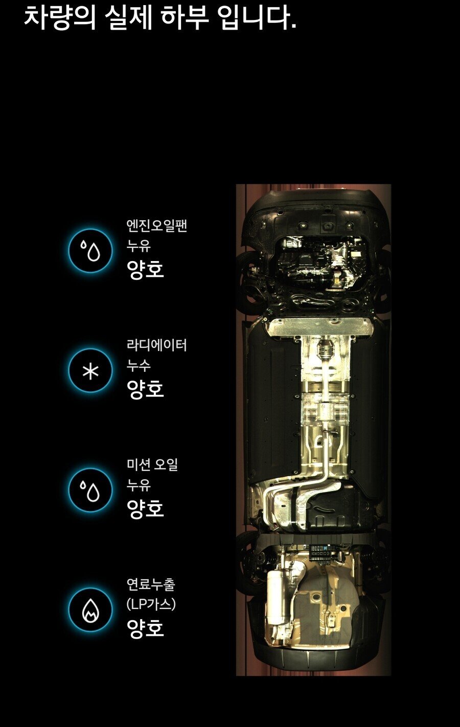 김짤.com_005.jpg