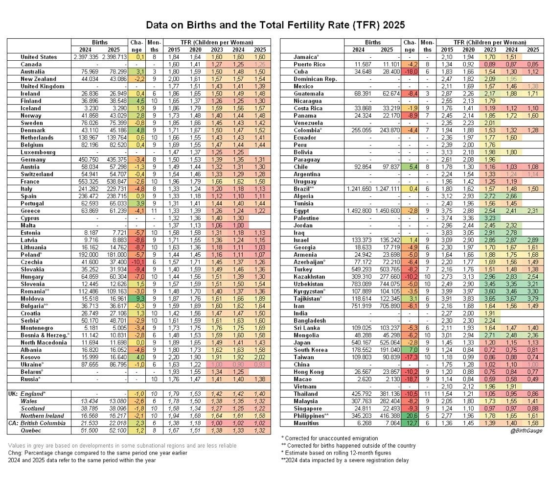 2025 전세계 출산율 전망 (1)
