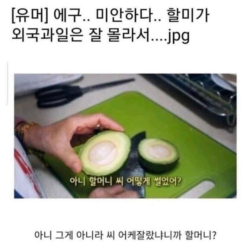 485602346.jpeg