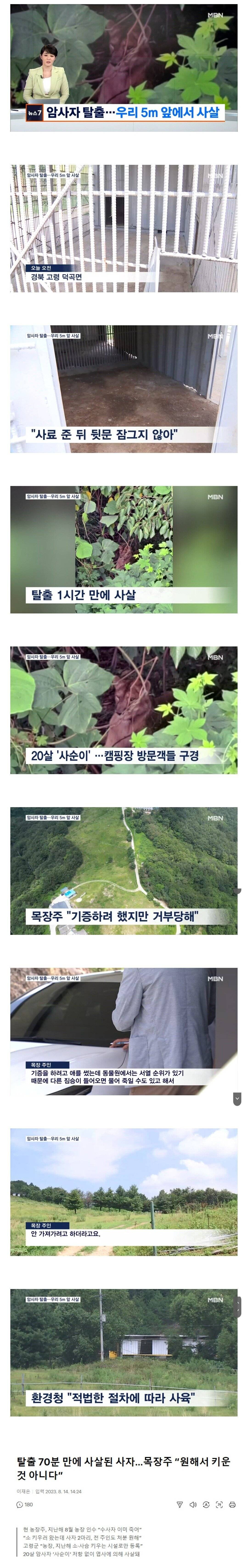 사살된 암사자 주인...'나도 원해서 키운거 아냐' | 인스티즈