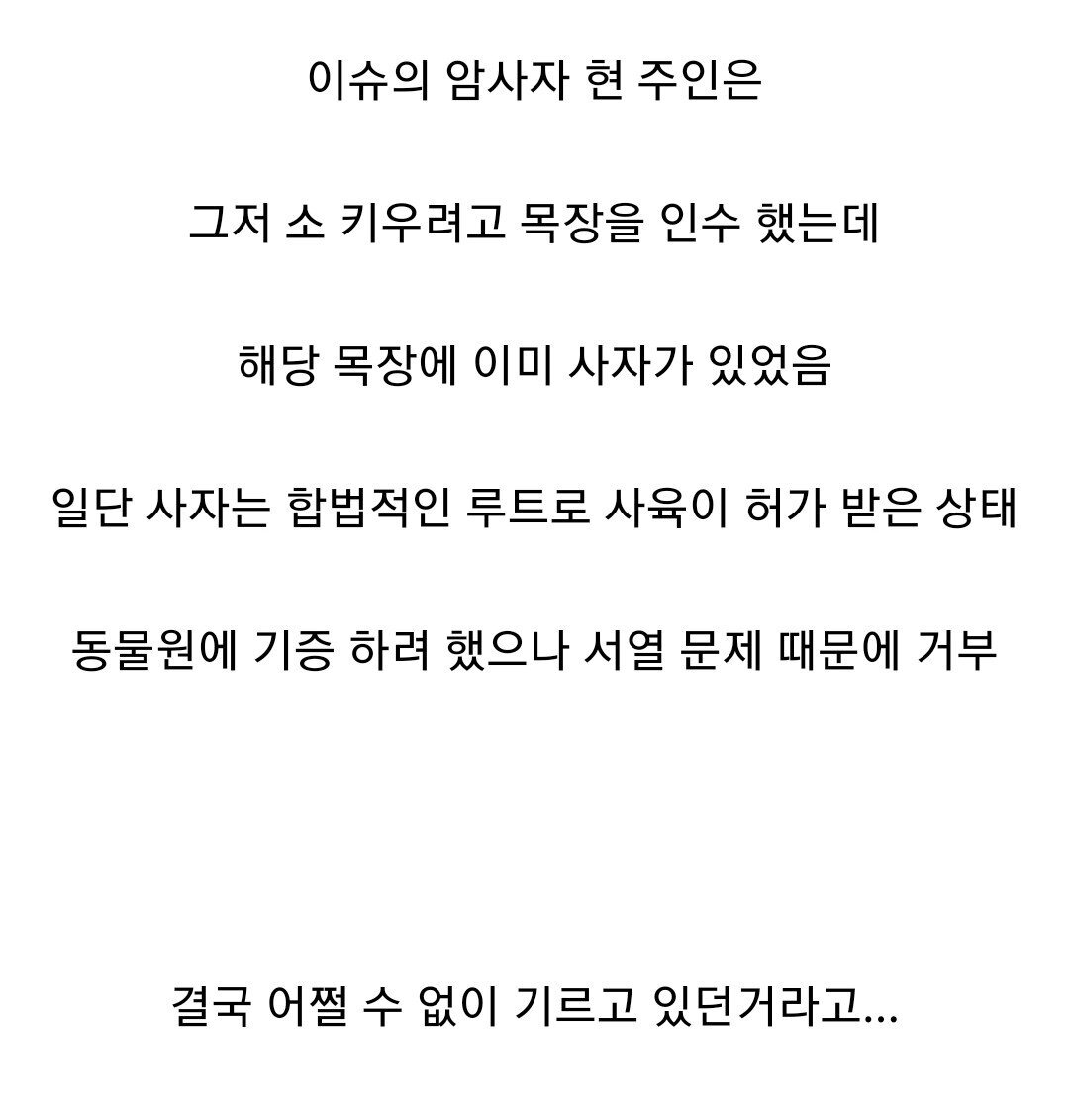 사살된 암사자 주인...'나도 원해서 키운거 아냐' | 인스티즈