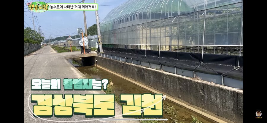 1880edda7ca1f2b23.png.ren.jpg 대한민국 생태계 근황.jpg