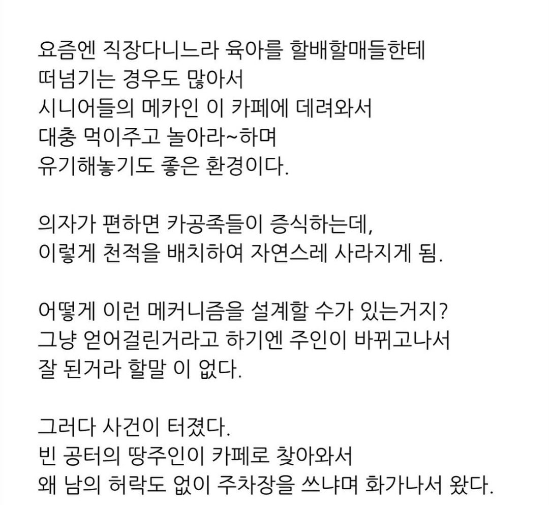 망한 교외카페를 70대 아버지가 인수함 15번째 사진