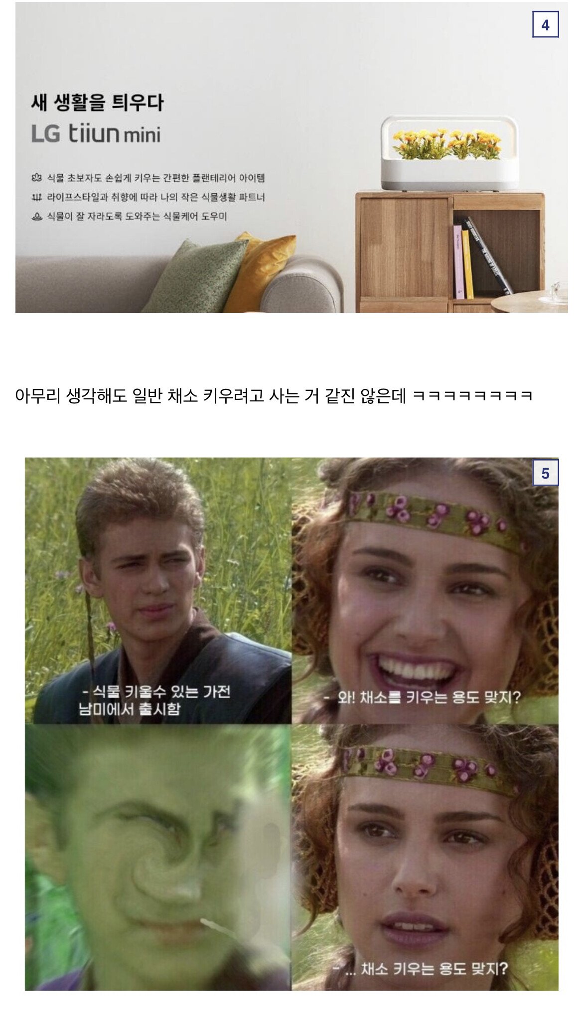 s003.jpeg