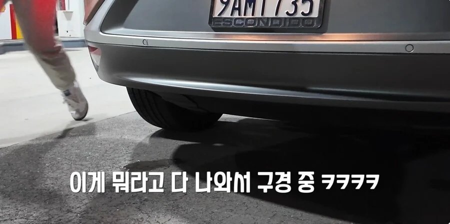 김짤.com_003.jpg