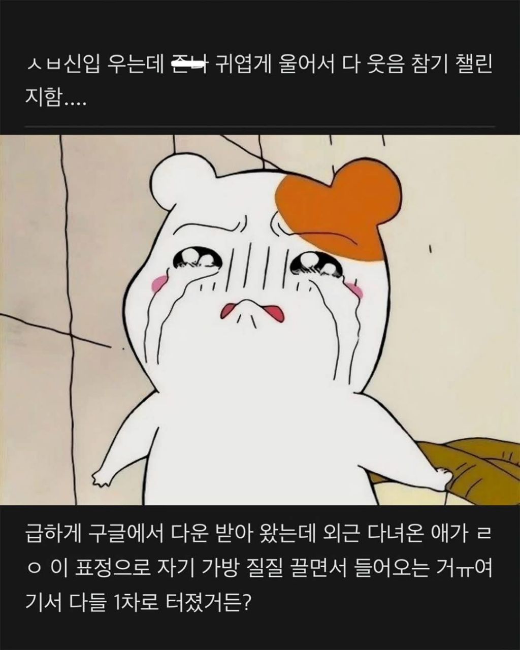 신입 우는데 귀엽게 울어서 웃음참기 챌린지함 (1)