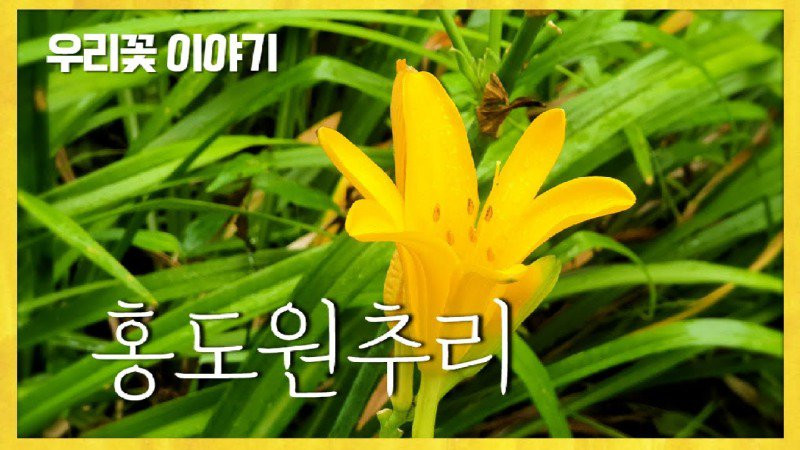 bt4b4eb864bdd92ef78951e556e6577cd0.jpg