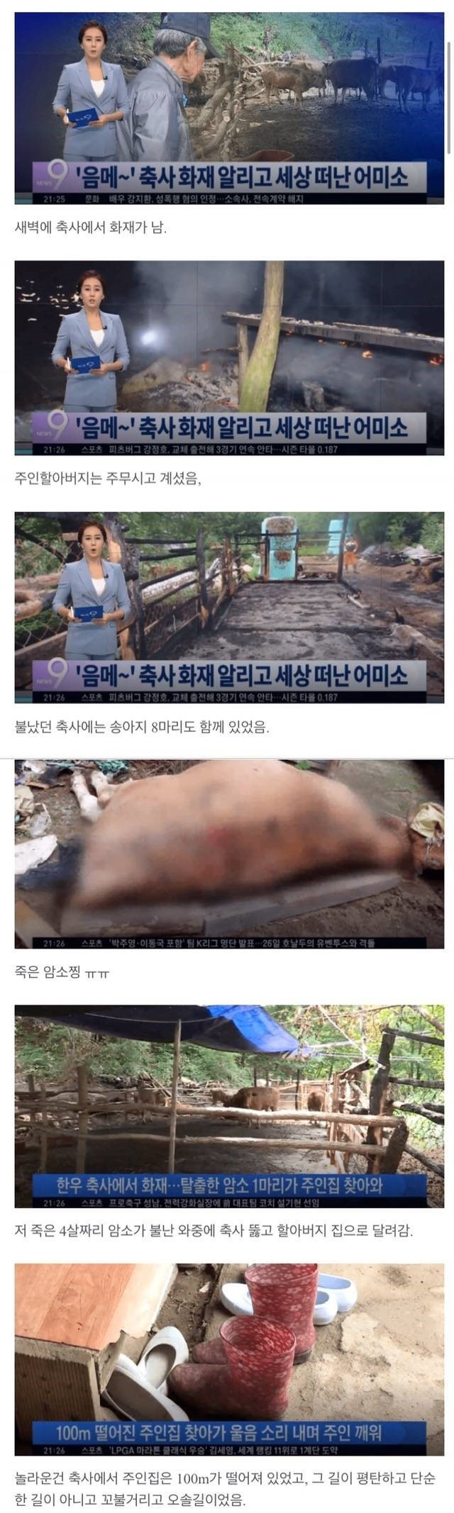 24post.co.kr_001.jpg