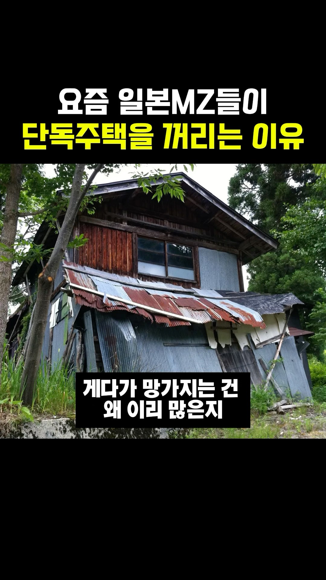 요즘 일본MZ들이 단독주택을 꺼리는 이유