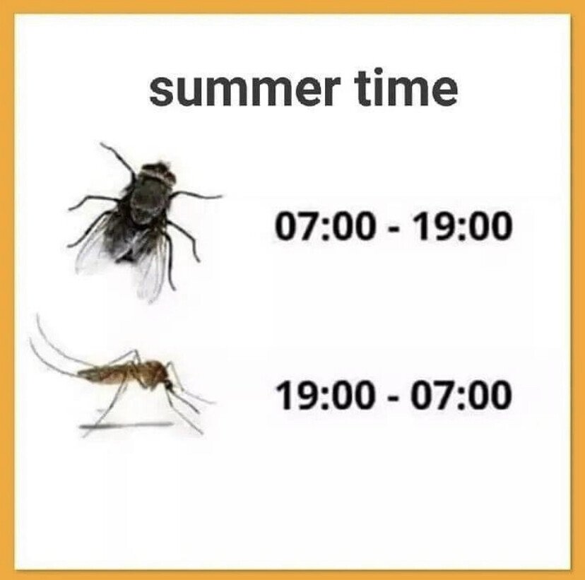 ee199a2f8935824e2dc6e043ffe126fb_1652474742_9239.jpeg
