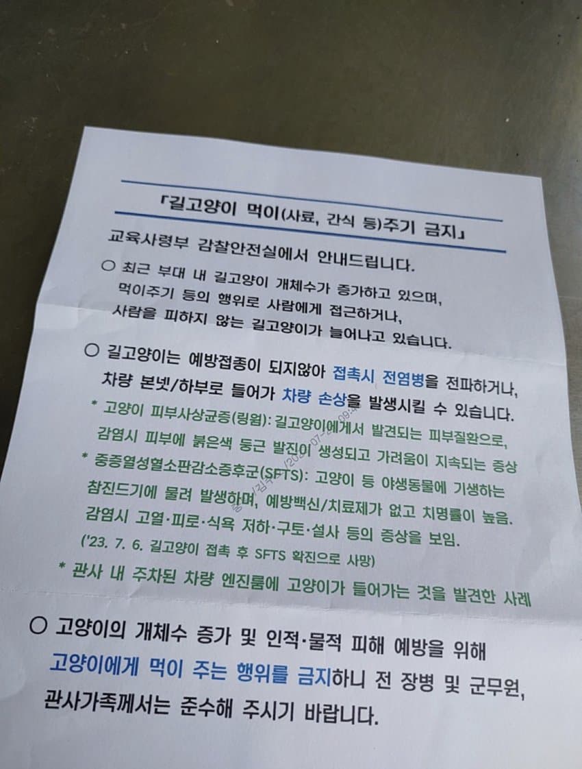 cat-20230803-221308-001-resize.jpg 이제 하다하다 군시설에도 사료 뿌리는 캣맘들