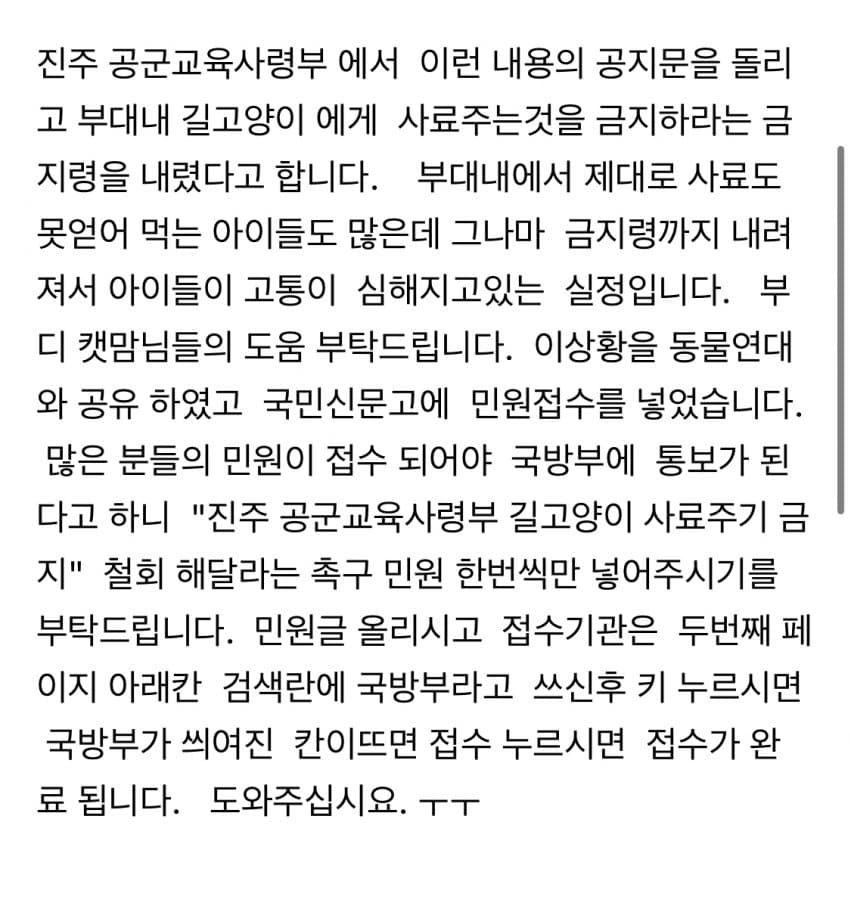 cat-20230803-221310-002-resize.jpg 이제 하다하다 군시설에도 사료 뿌리는 캣맘들