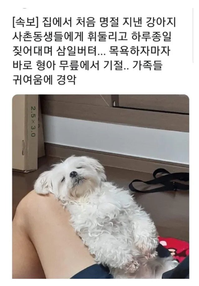 thumb_crop_resize.webp.ren.jpg