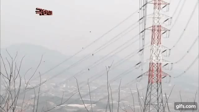 5.gif
