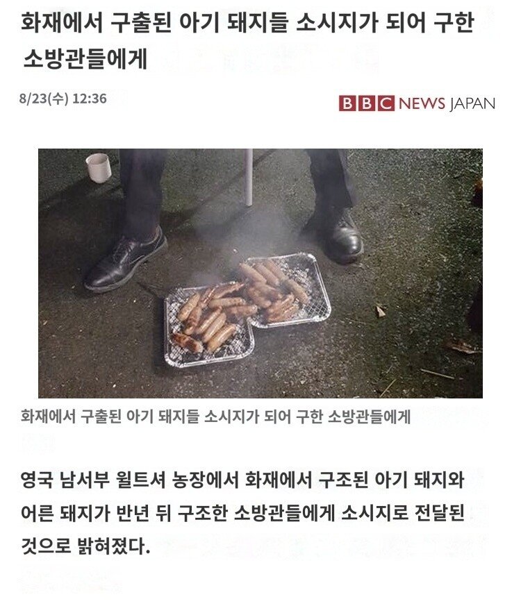 구해준 은혜 몸으로 갚음.jpg