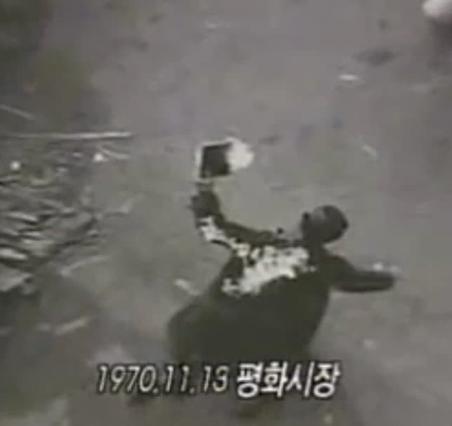 16891489254666.jpg