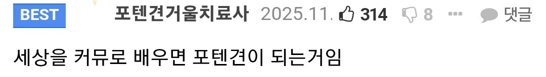 커뮤에서 보는 현실 vs 현실에서 보는 현실 7번째 사진