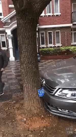 226f433819b47826875209118fc2ac8b_1647033643_5877.gif