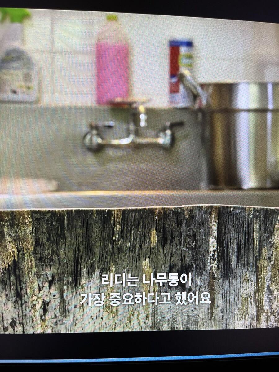 img/23/08/18/18a06c179be5122de.jpeg 낡고 더러운 나무통으로 치즈를 만들다가 정부에게 제지당한 수녀님 ㄷㄷ..JPG