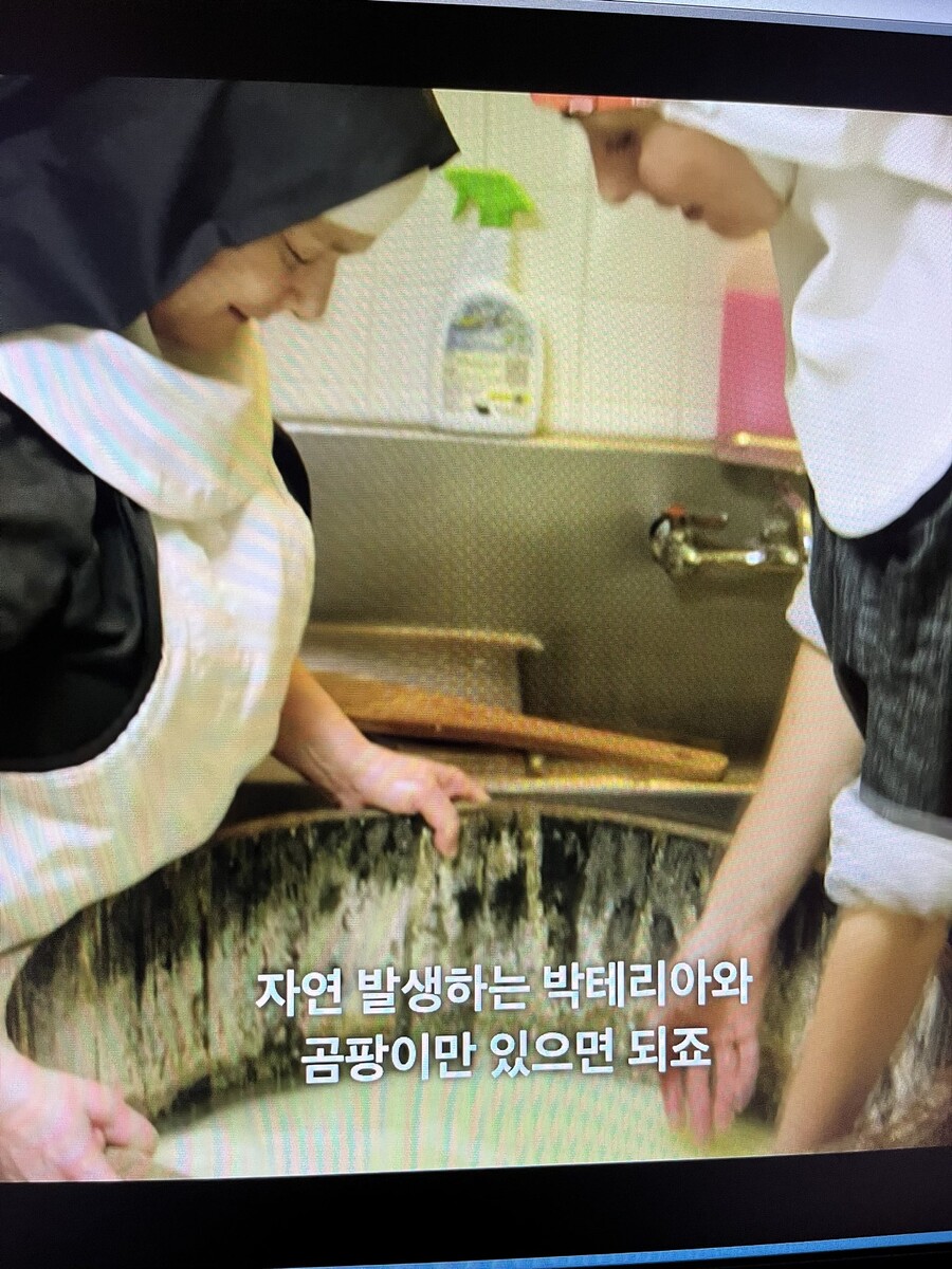 img/23/08/18/18a06c1797b5122de.jpeg 낡고 더러운 나무통으로 치즈를 만들다가 정부에게 제지당한 수녀님 ㄷㄷ..JPG