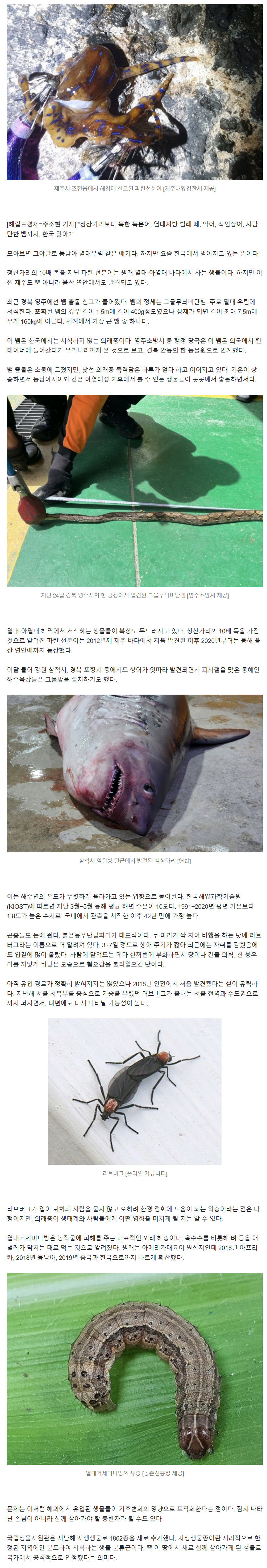 image.png 점점 좆되가고있는 대한민국 생태계.JPG