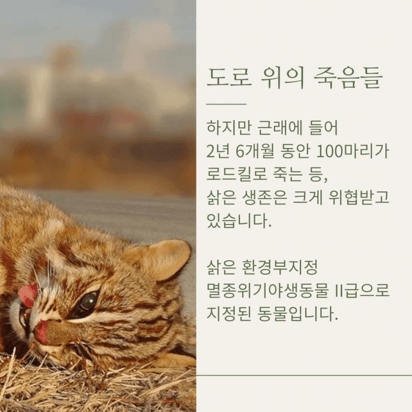 24post.co.kr_003.jpg